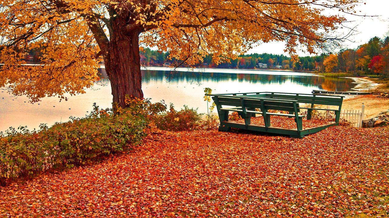 מלון Belmont Silver Lake Park Campground & Cabins מראה חיצוני תמונה
